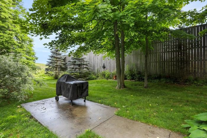 Grill in Backyard