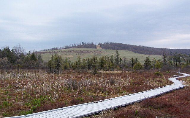 Cranesville Swamp Preserve