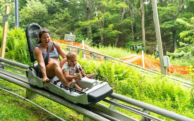 Wisp Resort Mountain Coaster